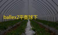 ballex2平衡球下载 v0.0.20 人气热度	：61℃